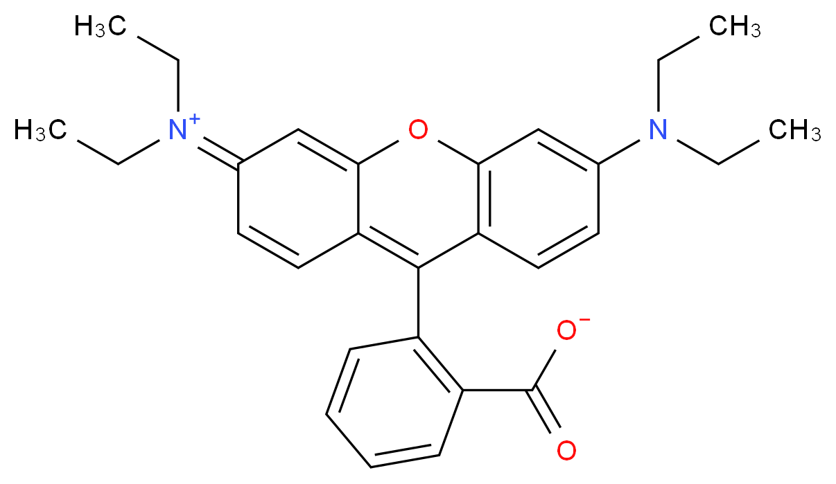 2-[6-(diethylamino)-3-(diethyliminiumyl)-3H-xanthen-9-yl]benzoate_分子结构_CAS_509-34-2