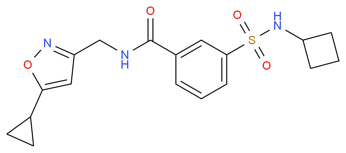 3-[(cyclobutylamino)sulfonyl]-N-[(5-cyclopropylisoxazol-3-yl)methyl]benzamide_分子结构_CAS_)