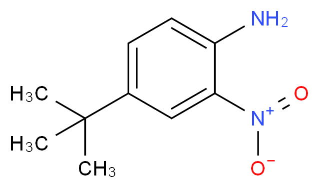 4-tert-butyl-2-nitroaniline_分子结构_CAS_6310-19-6