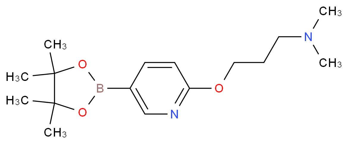 N,N-Dimethyl-3-((5-(4,4,5,5-tetramethyl-1,3,2-dioxaborolan-2-yl)pyridin-2-yl)oxy)propan-1-amine_分子结构_CAS_918643-56-8)