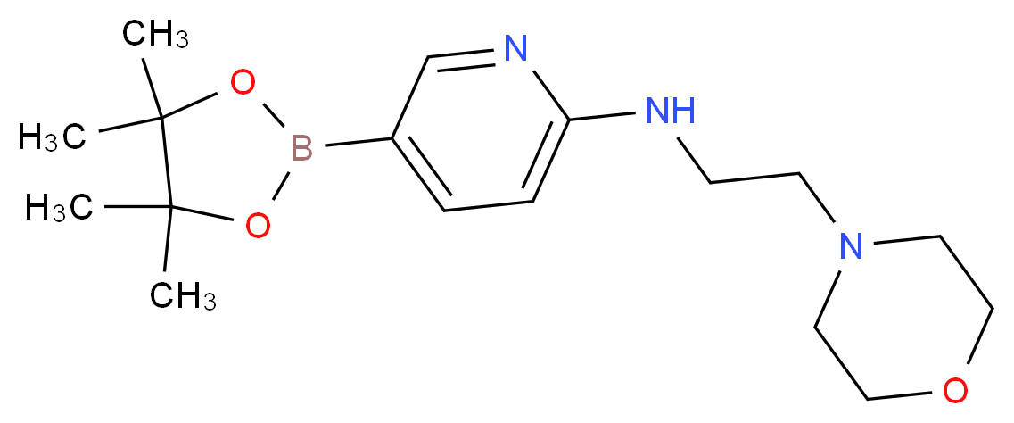 N-[2-(morpholin-4-yl)ethyl]-5-(tetramethyl-1,3,2-dioxaborolan-2-yl)pyridin-2-amine_分子结构_CAS_943911-64-6