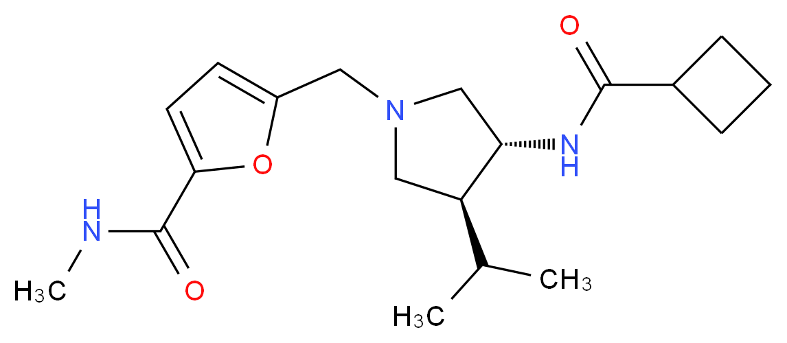 CAS_ 分子结构