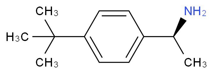 (1S)-1-(4-tert-butylphenyl)ethan-1-amine_分子结构_CAS_511256-37-4