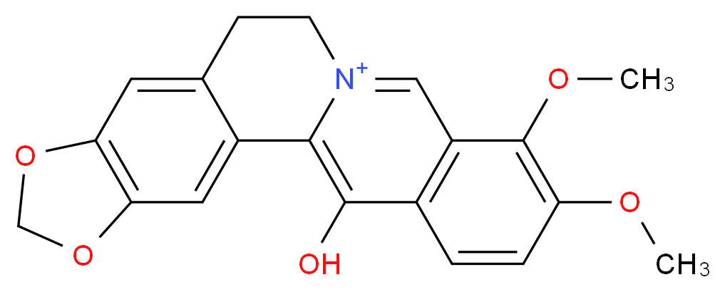 NEOOXYBERBERINE_分子结构_CAS_5058-45-7)