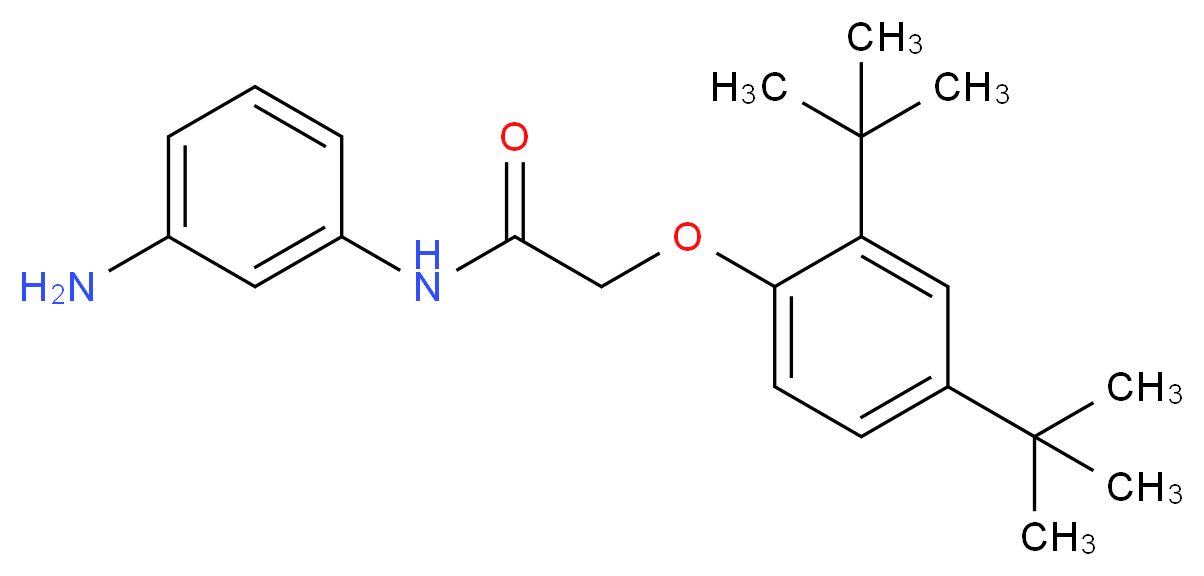 N-(3-Aminophenyl)-2-[2,4-di(tert-butyl)phenoxy]-acetamide_分子结构_CAS_)