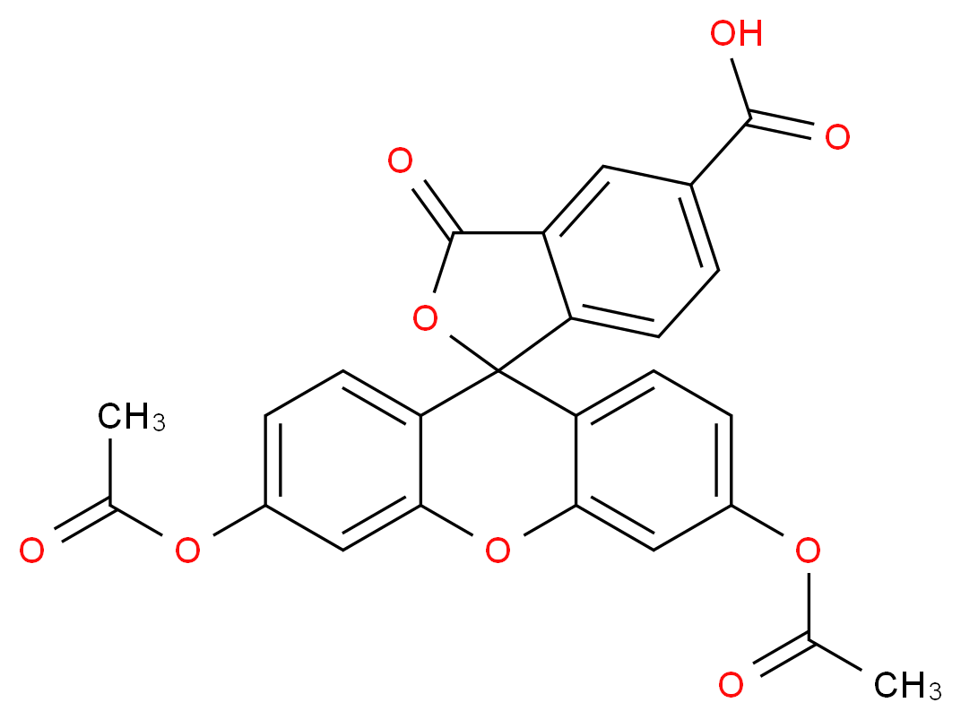 5-Carboxyfluorescein diacetate_分子结构_CAS_79955-27-4)