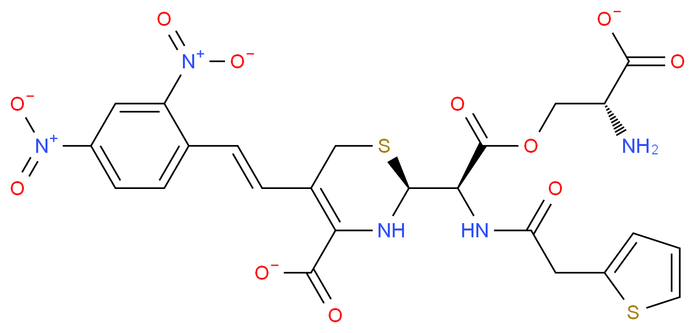 CAS_ 分子结构