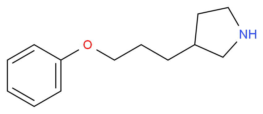 3-(3-Phenoxypropyl)pyrrolidine_分子结构_CAS_)