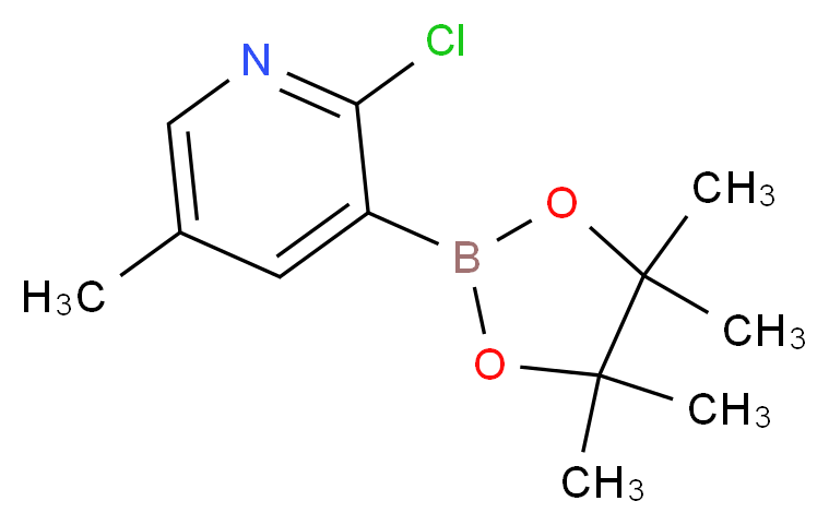 _分子结构_CAS_)