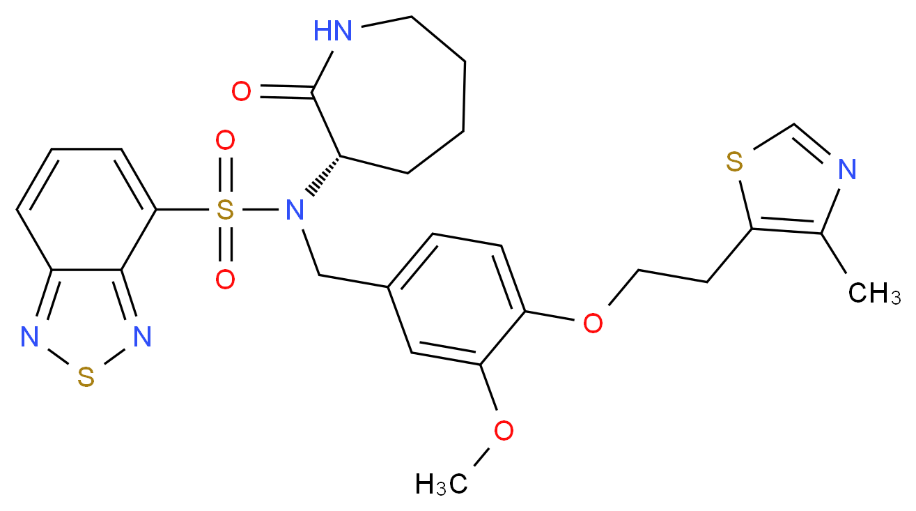 CAS_ 分子结构