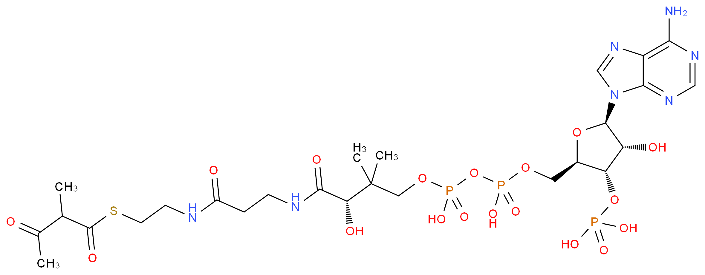 2-Methylacetoacetyl-CoA_分子结构_CAS_6712-01-2)