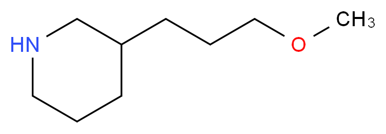 3-(3-methoxypropyl)piperidine_分子结构_CAS_868067-67-8