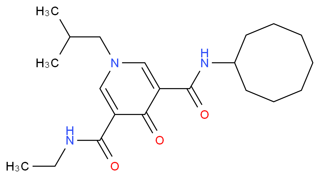 N-cyclooctyl-N'-ethyl-1-isobutyl-4-oxo-1,4-dihydro-3,5-pyridinedicarboxamide_分子结构_CAS_)