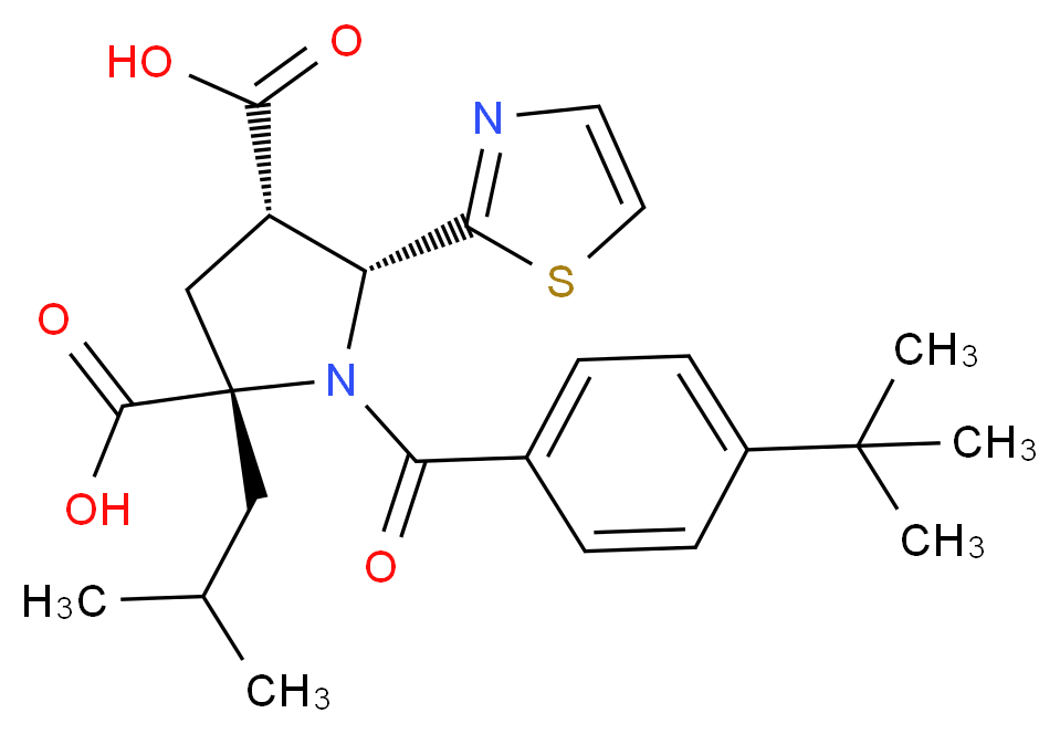 CAS_ 分子结构
