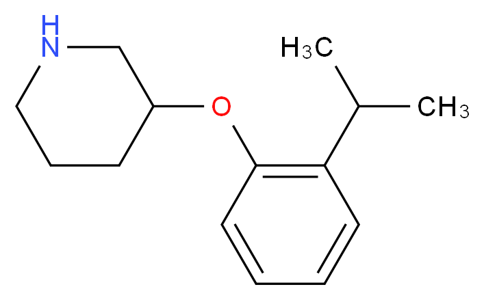 3-[2-(propan-2-yl)phenoxy]piperidine_分子结构_CAS_902837-35-8