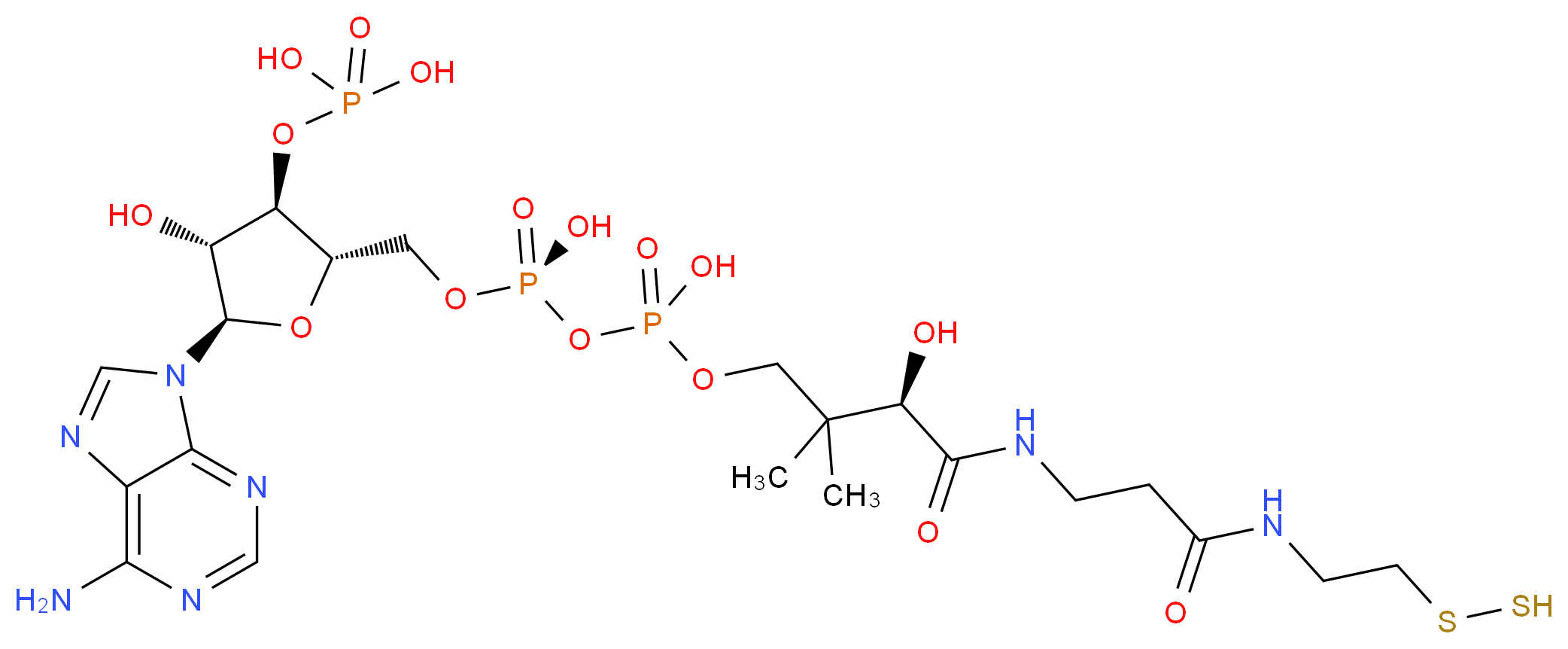 CAS_ 分子结构