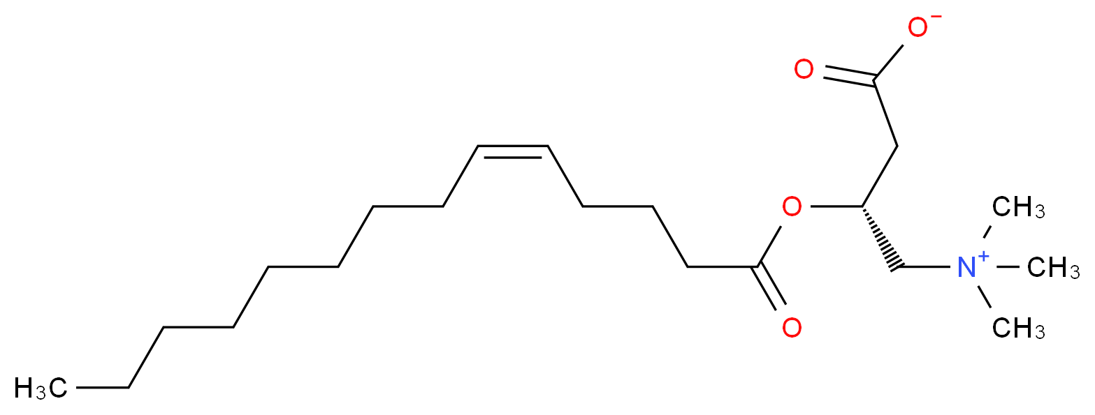 5-cis-Tetradecenoyl Carnitine_分子结构_CAS_1186416-86-3)