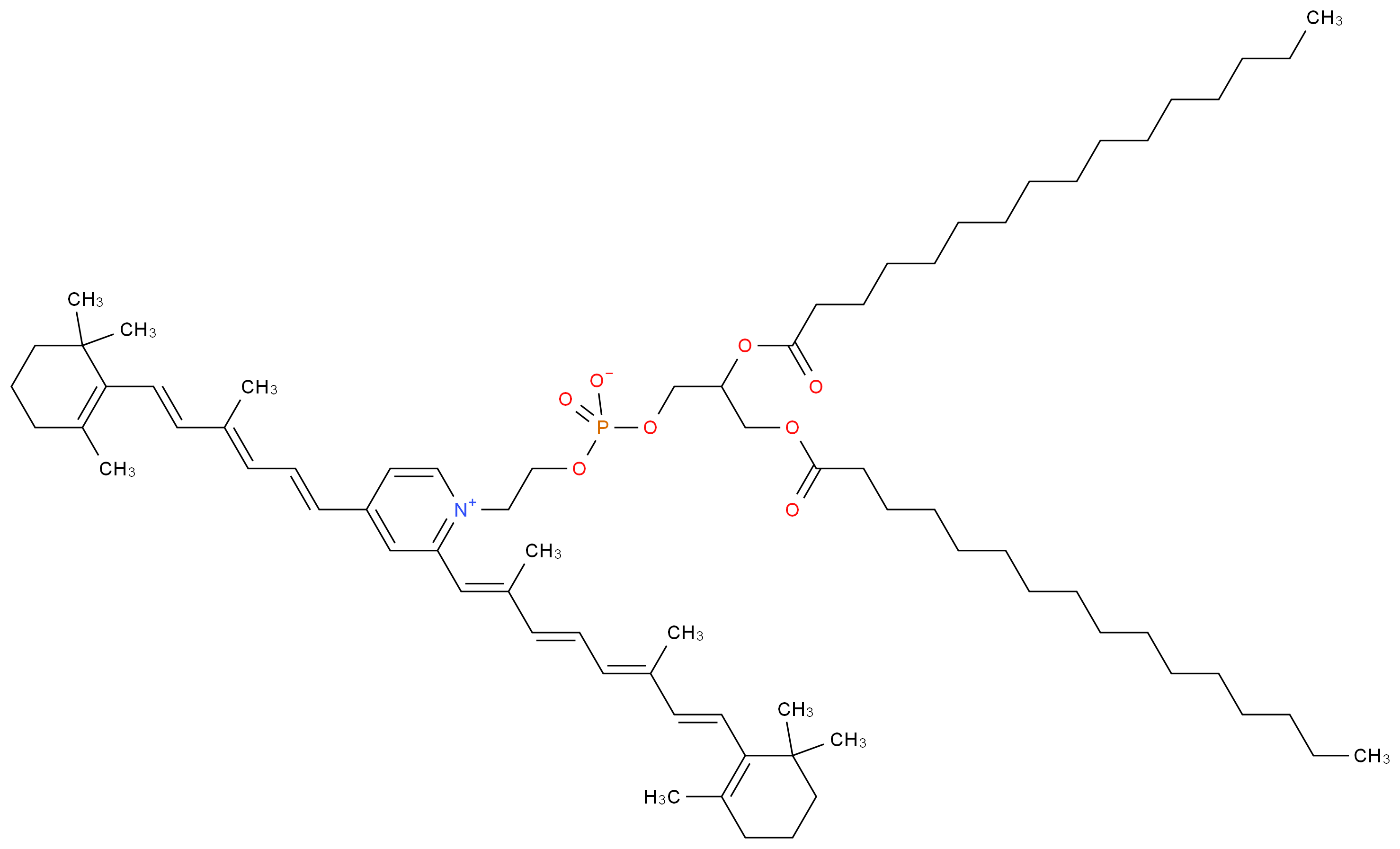 _分子结构_CAS_)