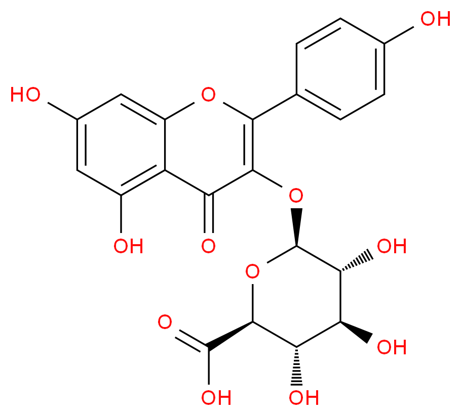 Kaempferol 3-O-β-D-glucuronide_分子结构_CAS_22688-78-4)