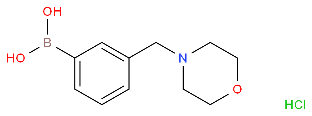 3-(morpholinomethyl)phenylboronic acid hydrochloride_分子结构_CAS_NONE)