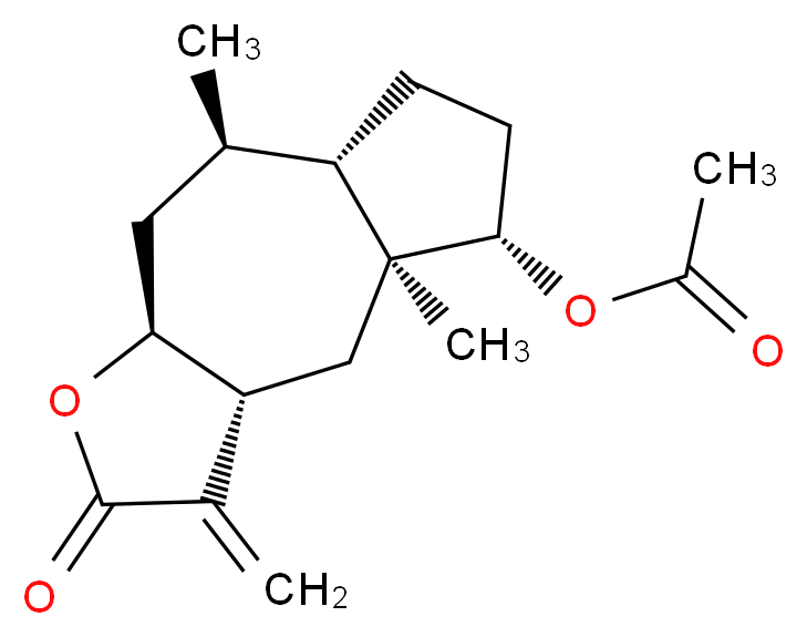 CAS_N 分子结构