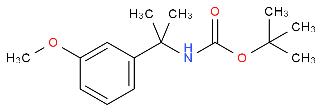 alpha,alpha-Dimethyl-3-methoxybenzylamine, N-BOC protected_分子结构_CAS_)