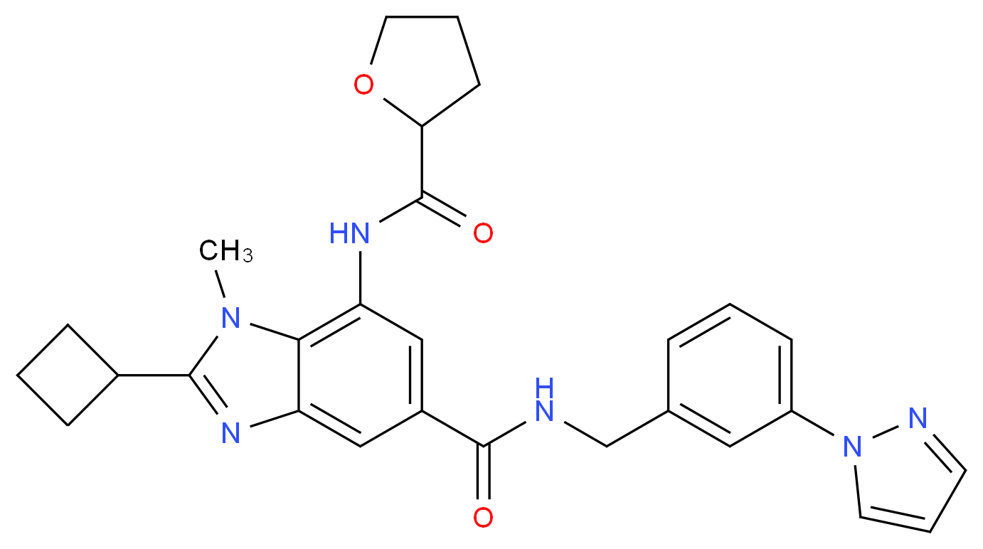 2-cyclobutyl-1-methyl-N-[3-(1H-pyrazol-1-yl)benzyl]-7-[(tetrahydro-2-furanylcarbonyl)amino]-1H-benzimidazole-5-carboxamide_分子结构_CAS_)