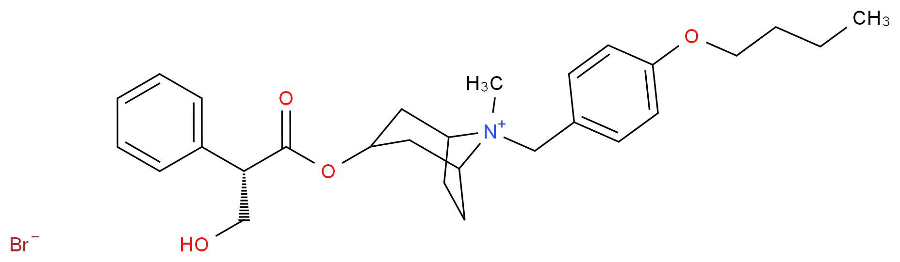 8-[(4-butoxyphenyl)methyl]-3-{[(2S)-3-hydroxy-2-phenylpropanoyl]oxy}-8-methyl-8-azabicyclo[3.2.1]octan-8-ium bromide_分子结构_CAS_29025-14-7