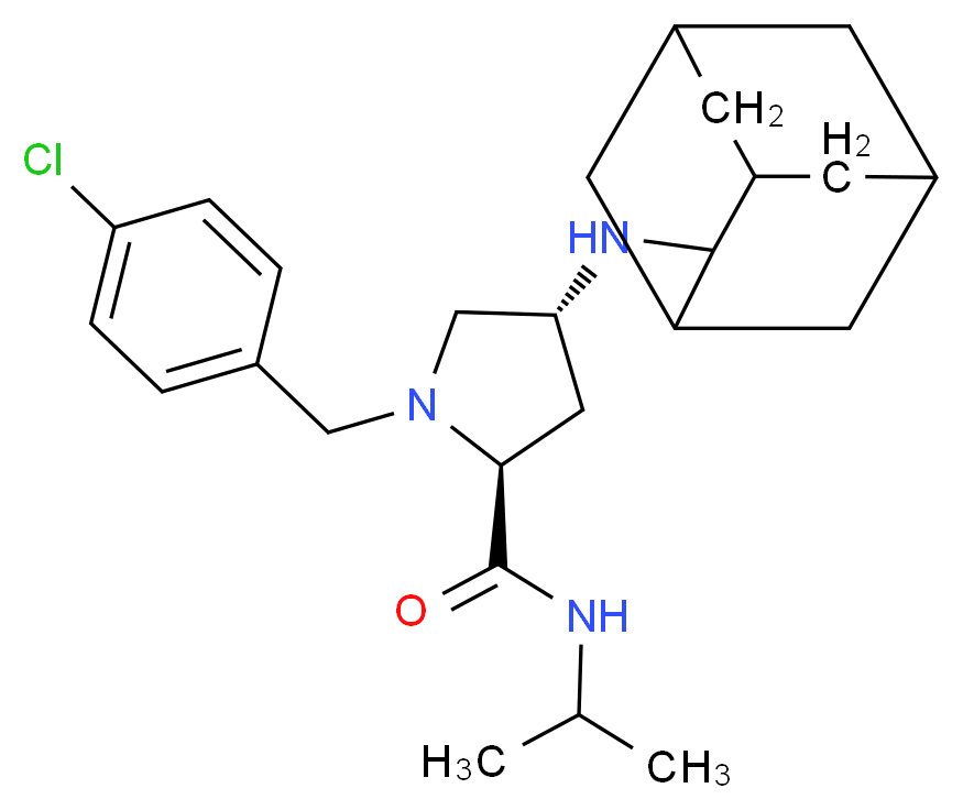 CAS_ 分子结构