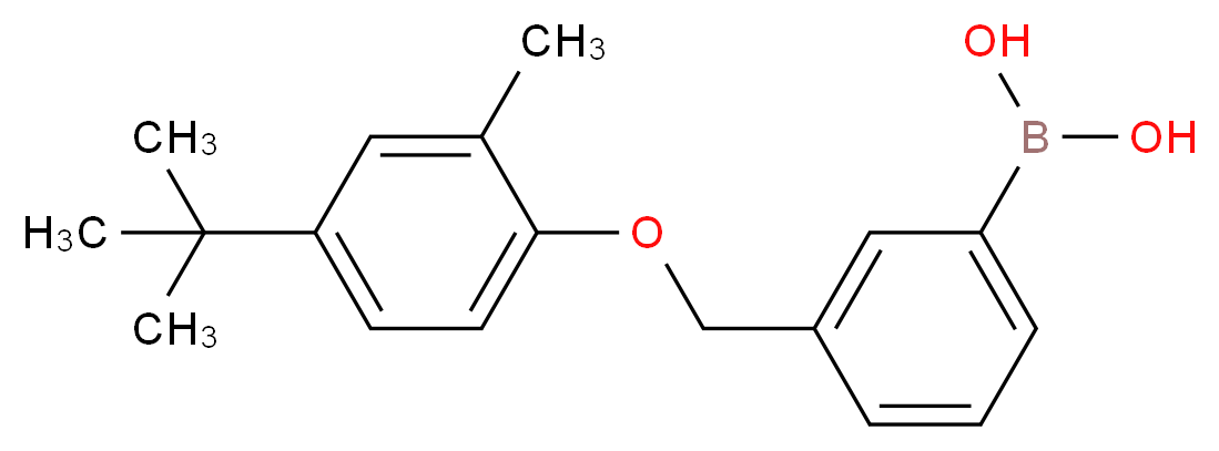 3-[(4′-叔丁基-2′-甲基苯氧基)甲基]苯基硼酸_分子结构_CAS_1072951-66-6)