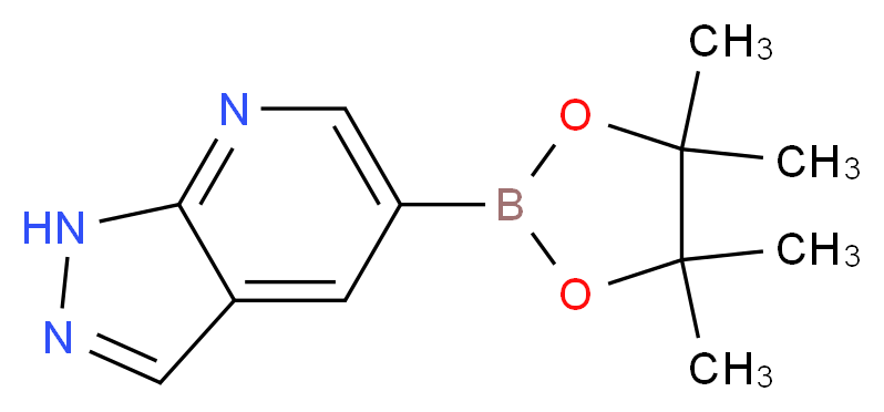 1H-Pyrazolo[3,4-b]pyridine-5-boronic acid pinacol ester_分子结构_CAS_1093819-50-1)