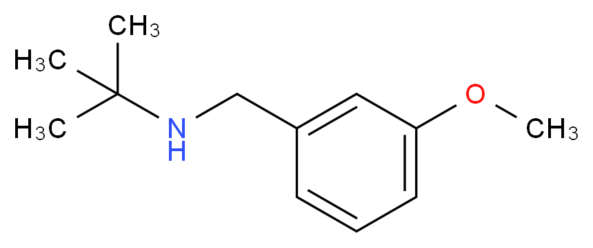 tert-butyl[(3-methoxyphenyl)methyl]amine_分子结构_CAS_207349-84-6