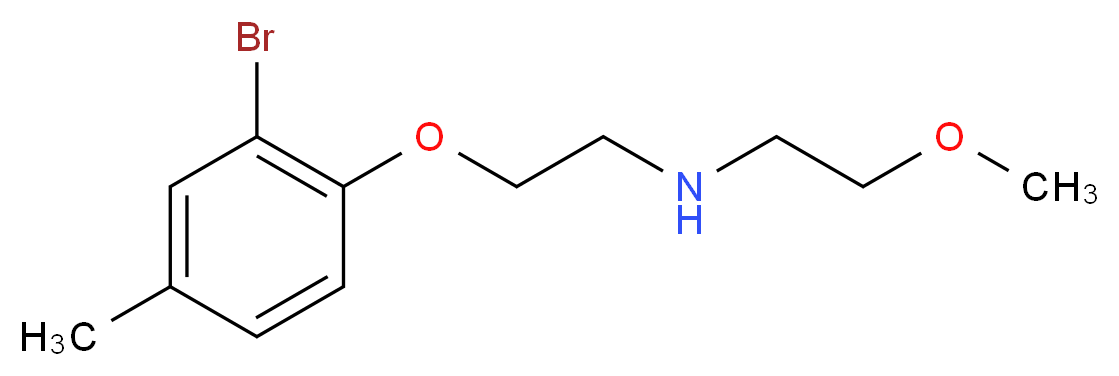 [2-(2-bromo-4-methylphenoxy)ethyl](2-methoxyethyl)amine_分子结构_CAS_434303-01-2