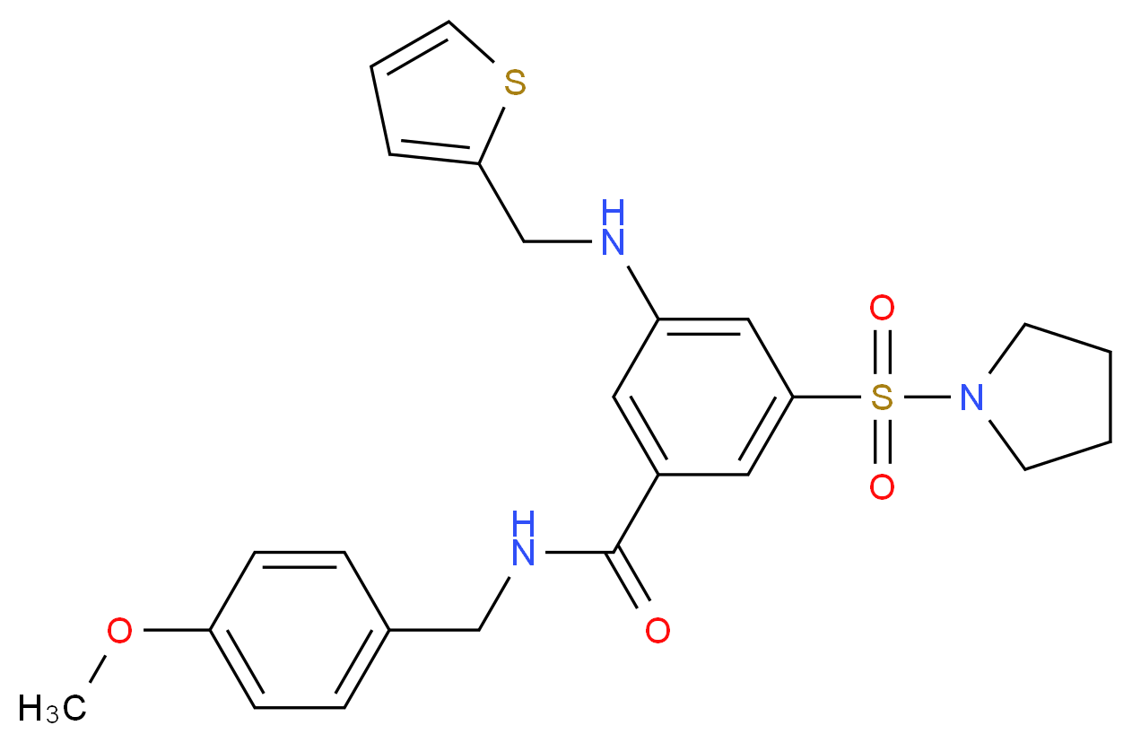 N-(4-methoxybenzyl)-3-(1-pyrrolidinylsulfonyl)-5-[(2-thienylmethyl)amino]benzamide_分子结构_CAS_)