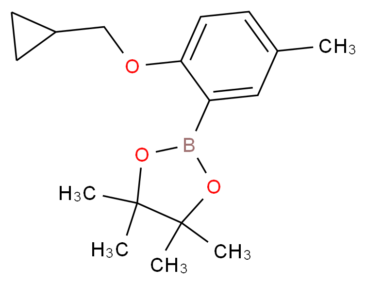 2-Cyclopropylmethoxy-5-methylphenylboronic acid pinacol ester_分子结构_CAS_1185836-99-0)