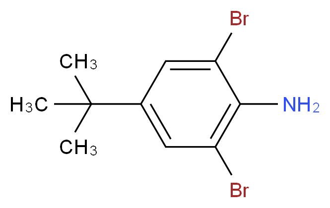 2,6-dibromo-4-tert-butylaniline_分子结构_CAS_10546-67-5