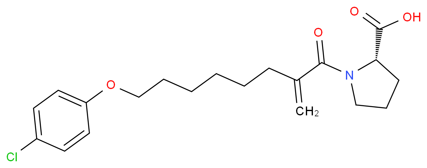 (2S)-1-[8-(4-chlorophenoxy)-2-methylideneoctanoyl]pyrrolidine-2-carboxylic acid_分子结构_CAS_468095-77-4