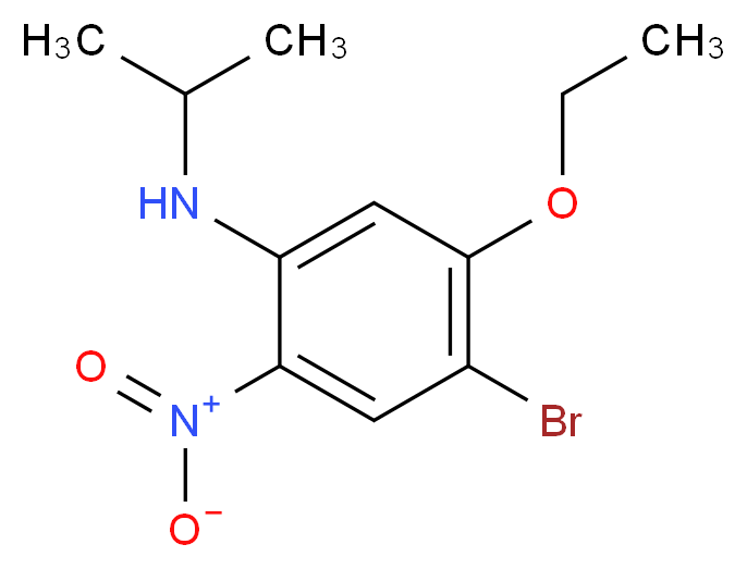 4-bromo-5-ethoxy-2-nitro-N-(propan-2-yl)aniline_分子结构_CAS_1330750-39-4