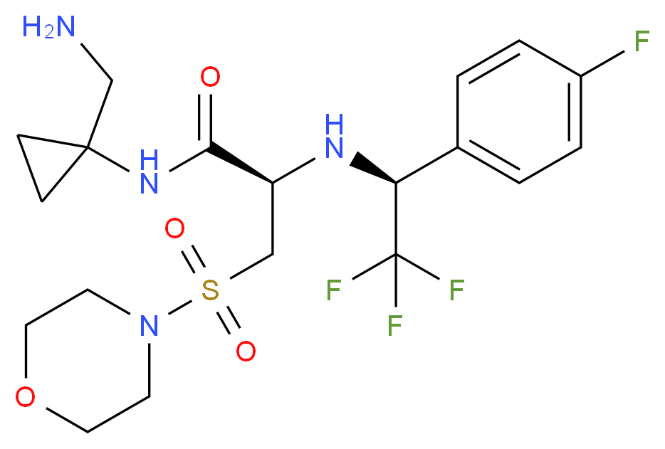 CAS_ 分子结构