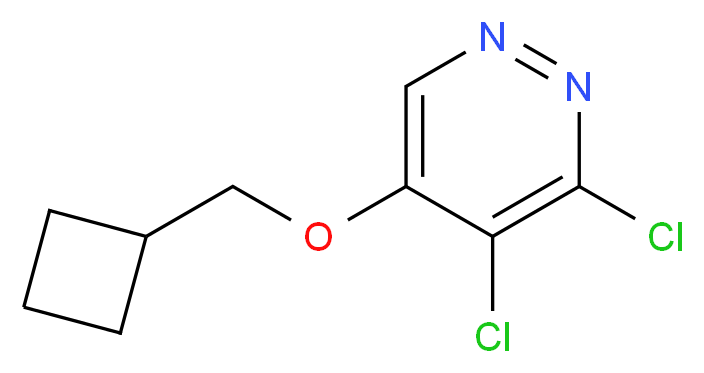 3,4-Dichloro-5-(cyclobutylMethoxy)pyridazine_分子结构_CAS_1346698-16-5)