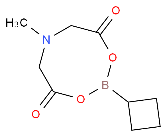 2-cyclobutyl-6-methyl-1,3,6,2-dioxazaborocane-4,8-dione_分子结构_CAS_1104637-37-7