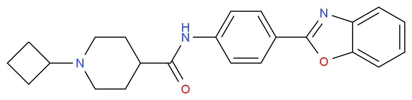 N-[4-(1,3-benzoxazol-2-yl)phenyl]-1-cyclobutyl-4-piperidinecarboxamide_分子结构_CAS_)