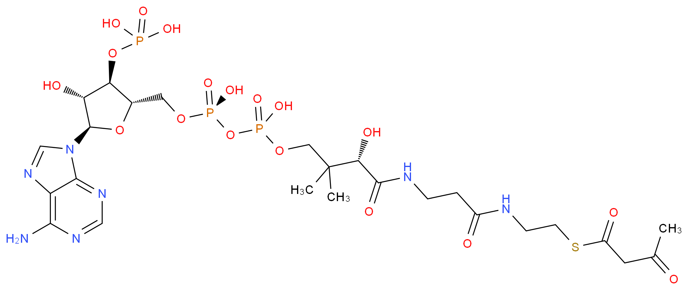 {[(2S,3R,4R,5R)-5-(6-amino-9H-purin-9-yl)-4-hydroxy-2-({[hydroxy({hydroxy[(3S)-3-hydroxy-2,2-dimethyl-3-{[2-({2-[(3-oxobutanoyl)sulfanyl]ethyl}carbamoyl)ethyl]carbamoyl}propoxy]phosphoryl}oxy)phosphoryl]oxy}methyl)oxolan-3-yl]oxy}phosphonic acid_分子结构_CAS_1420-36-6