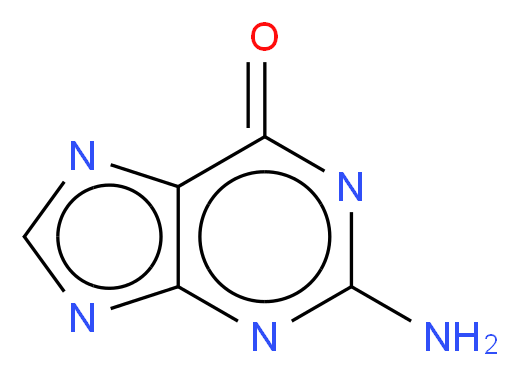 2-AMINO-6-HYDROXYPURINE_分子结构_CAS_73-40-5)