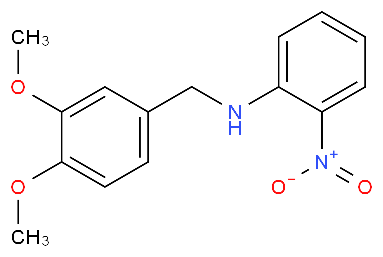 (3,4-dimethoxybenzyl)(2-nitrophenyl)amine_分子结构_CAS_5729-19-1)