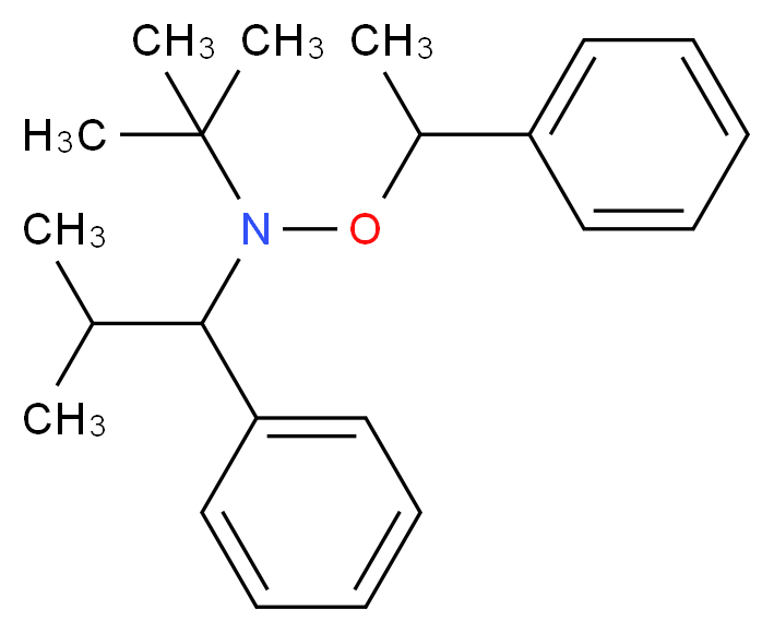 tert-butyl(2-methyl-1-phenylpropyl)(1-phenylethoxy)amine_分子结构_CAS_227000-59-1