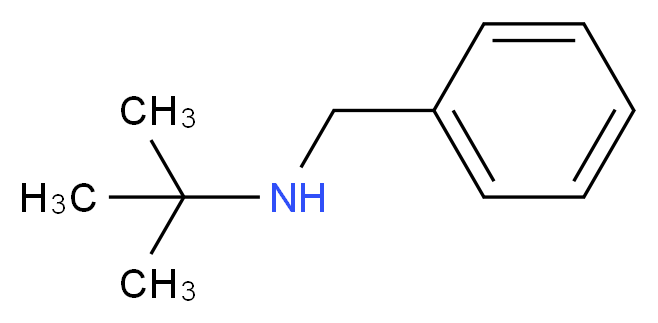 N-Benzyl-2-methylpropan-2-amine_分子结构_CAS_3378-72-1)