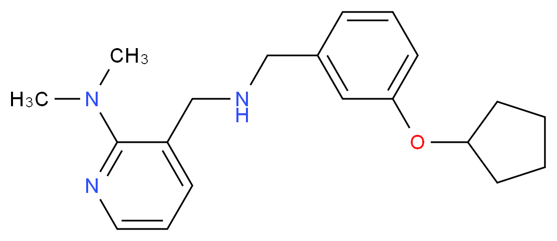 3-({[3-(cyclopentyloxy)benzyl]amino}methyl)-N,N-dimethyl-2-pyridinamine_分子结构_CAS_)