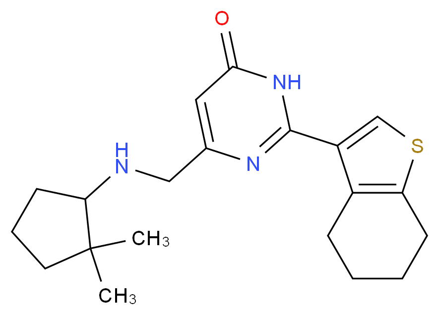6-{[(2,2-dimethylcyclopentyl)amino]methyl}-2-(4,5,6,7-tetrahydro-1-benzothien-3-yl)pyrimidin-4(3H)-one_分子结构_CAS_)