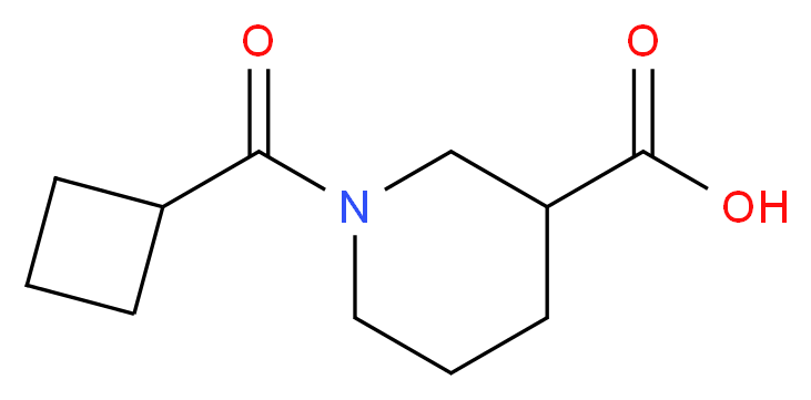 1-(Cyclobutylcarbonyl)-3-piperidinecarboxylic acid_分子结构_CAS_)